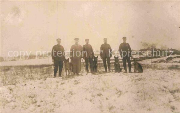 Militaria WK1 Rettungshunde Gruppenfoto