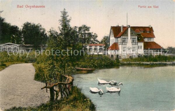 Bad Oeynhausen Siel Schwan
