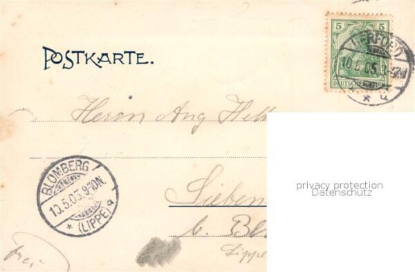 Herford Waldfrieden – Bild 2