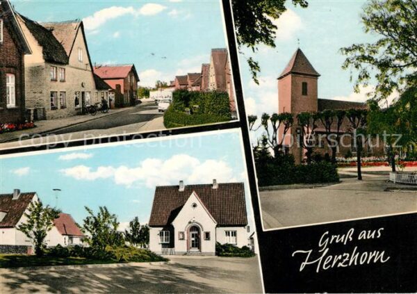 Herzhorn Holstein