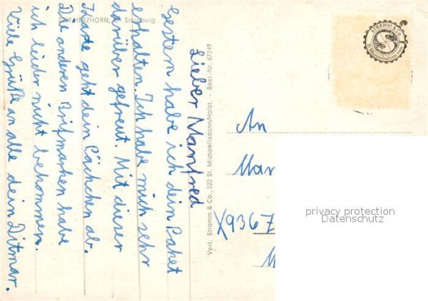Herzhorn Holstein – Bild 2