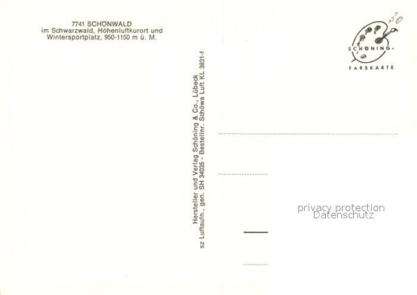 Schoenwald Schwarzwald Fliegeraufnahme – Bild 2