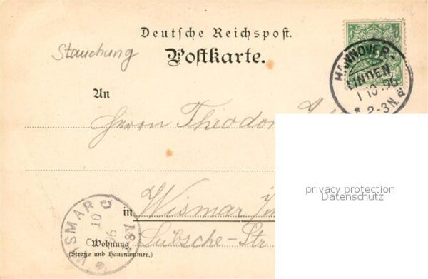 Erichsruh Vater Rehbock – Bild 2