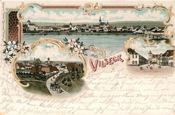 Vilseck Oberpfalz Herrenstrasse Schlicht Totalansicht Litho