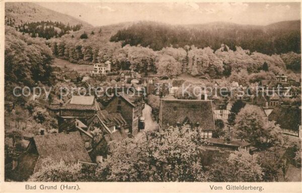 Bad Grund Blick vom Gittelderberg