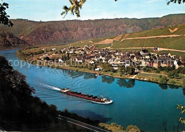 Mesenich Cochem Panorama Mosel