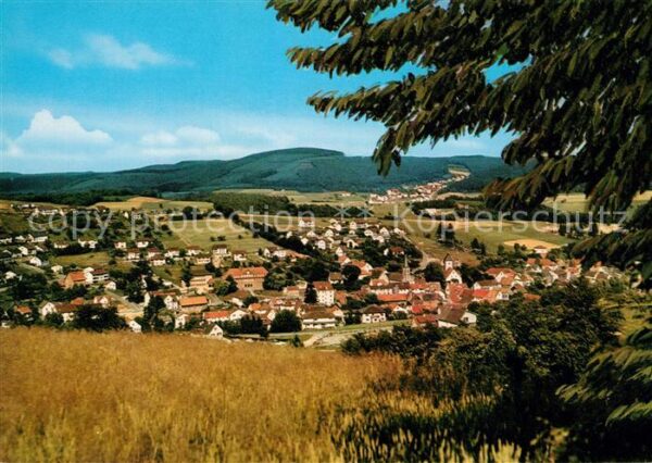 Waldmichelbach Panorama