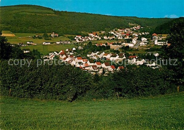 Waldmichelbach Panorama