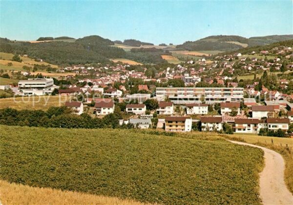 Waldmichelbach Panorama
