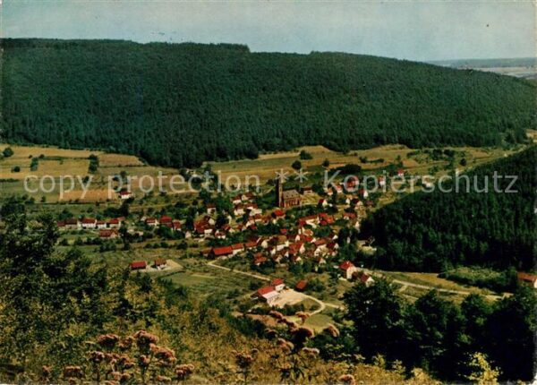 Rippberg Fliegeraufnahme