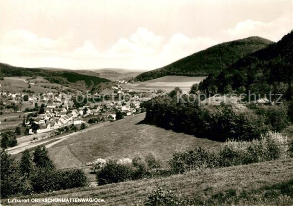 Ober-Schoenmattenwag Panorama