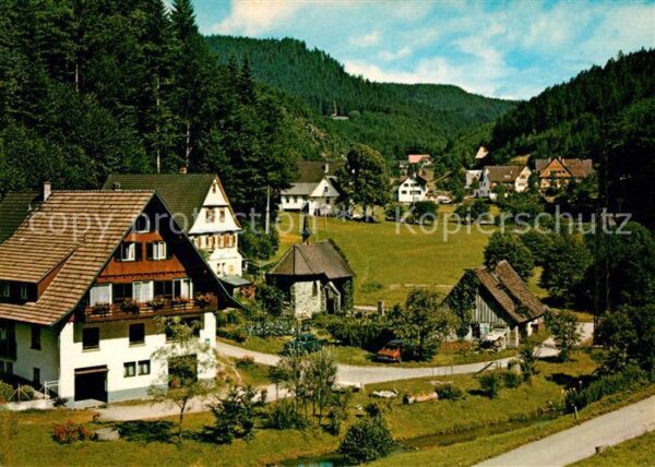 Schenkenzell Kaltbrunn Panorama