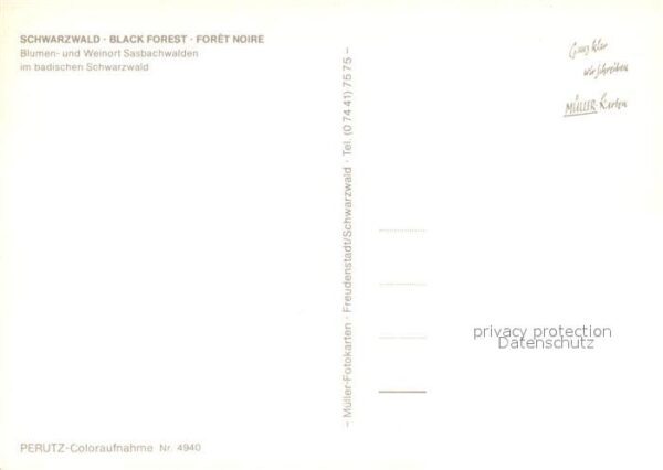 Sasbachwalden Ortsansicht – Bild 2