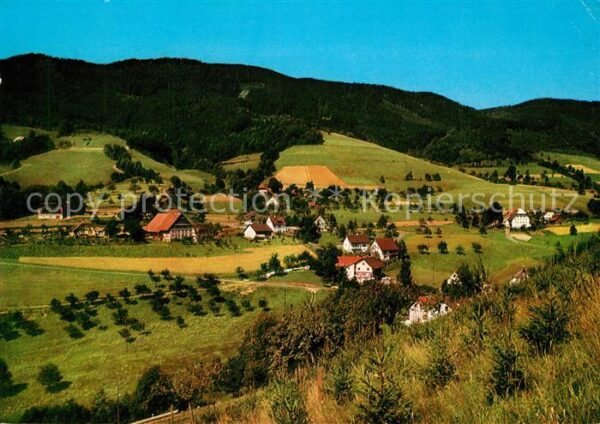 Haslach Freiburg Breisgau Panorama Simonswaeldertal