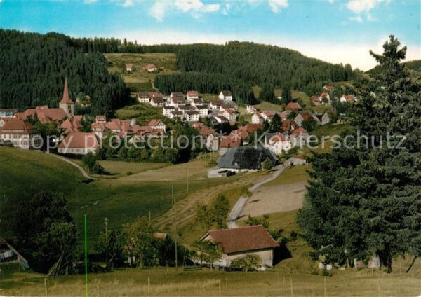 Schonach Schwarzwald Panorama