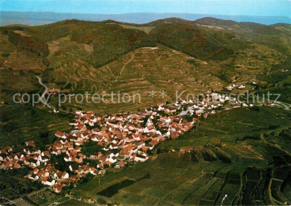 Oberbergen Vogtsburg Fliegeraufnahme