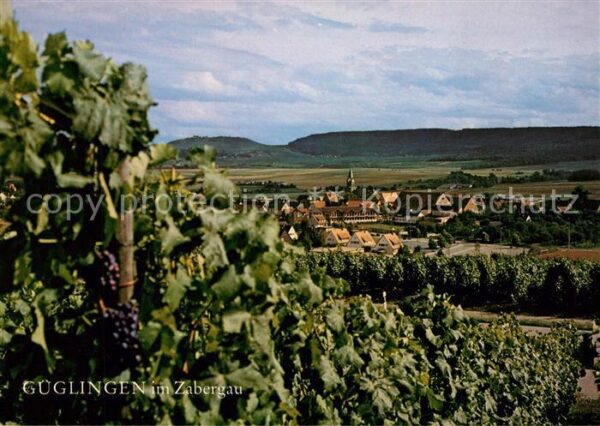 Gueglingen Panorama Stromberg