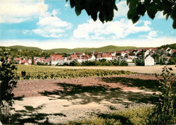 Kleinalmerode Panorama