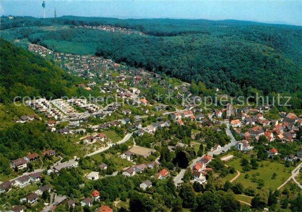 Grenzach-Wyhlen Fliegeraufnahme