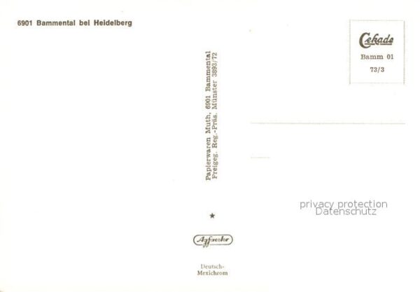 Heidelberg Neckar Fliegeraufnahme Bammental – Bild 2