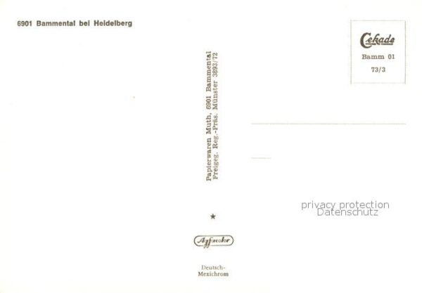 Heidelberg Neckar Fliegeraufnahme Bammental – Bild 2