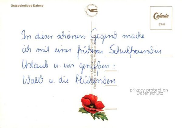 Dahme Ostseebad Fliegeraufnahme – Bild 2