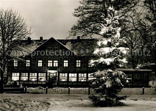 Neuhaus Solling Hotel Brauner Hirsch