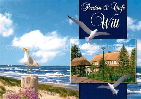 Graal-Mueritz Ostseebad Cafestuebchen Witt Moeve