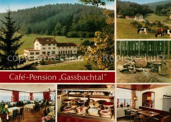 Gras-Ellenbach Cafe Pension Gassbachtal Kuehe
