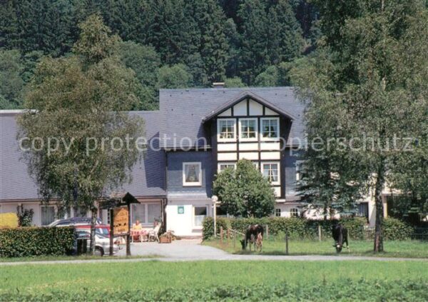 Bad Berleburg Hof Kilbe Pension Bauernhof Kuehe