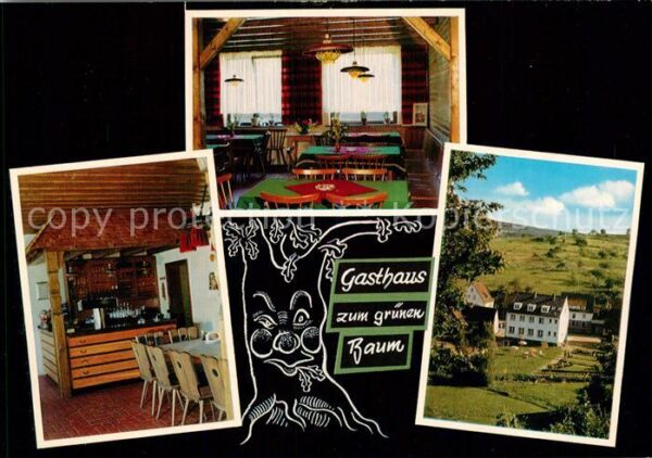 Frammersbach Gasthaus Pension Zum gruenen Baum