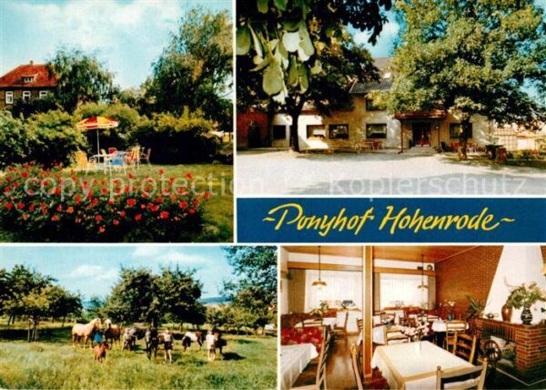 Hohenrode Rinteln Ponyhof Hohenrode Gerda Schulze