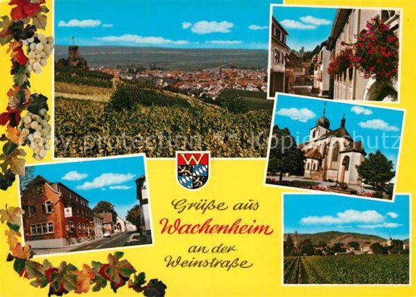 Wachenheim Weinstrasse Kirche Panoramen