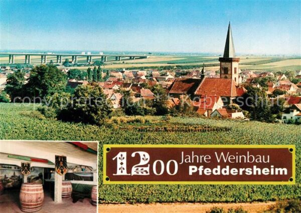 Pfeddersheim Panorama Weinkeller