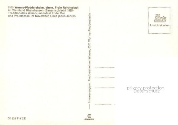 Pfeddersheim Panorama Weinkeller – Bild 2