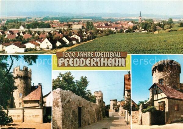 Pfeddersheim Panorama Stadtmauer Tuerme