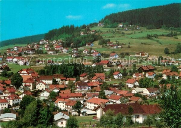 Bodenmais Panorama