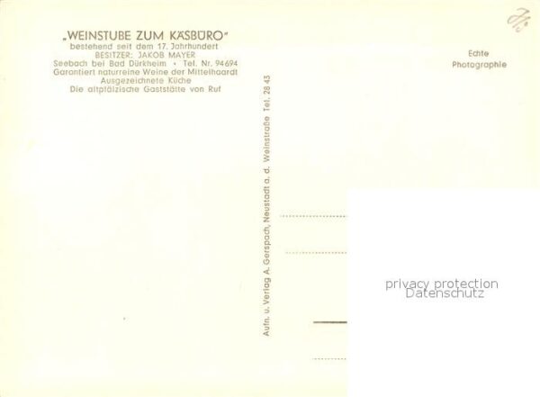 Seebach Bad Duerkheim Weinstube zum Kaesbuero – Bild 2