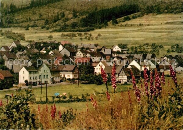 Mandeln Dillkreis Gasthaus Pension Dillmann Panorama