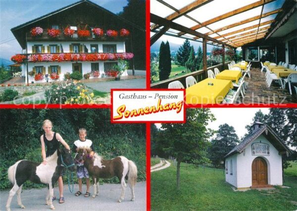 Jechling Gasthaus Pension Sonnenhang Wegkapelle Ponies