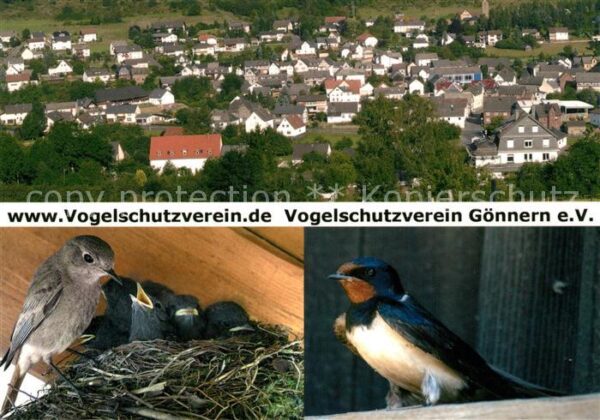 Goennern Panorama Schwalben Vogelschutzverein