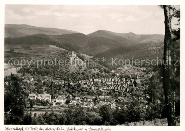 Biedenkopf Burg Panorama