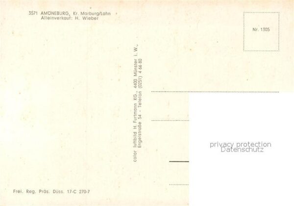 Amoeneburg Fliegeraufnahme – Bild 2