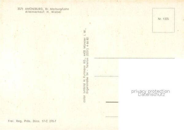 Amoeneburg Fliegeraufnahme – Bild 2