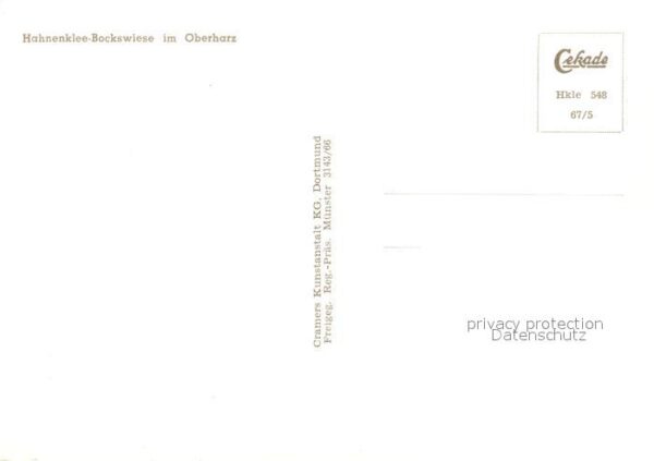 Hahnenklee-Bockswiese Harz Fliegeraufnahme – Bild 2