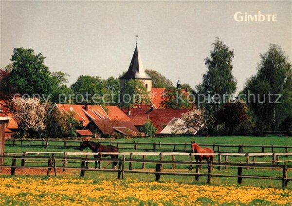 Gimbte Muenster Westfalen Pferde