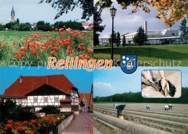 Reilingen Spargelstecher Fritz-Mannherz-Hallen Gasthaus zum Loewen