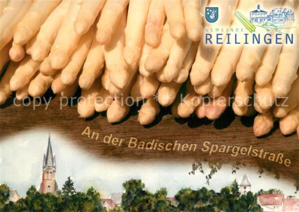 Reilingen Spargel