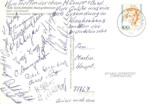 Schliengen Fliegeraufnahme Weinkoenigin Petra Mayer – Bild 2