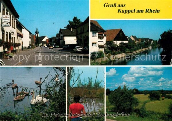 Kappel Niedereschach Schwaene Taubergiessenfahrt Karl Kraemer
